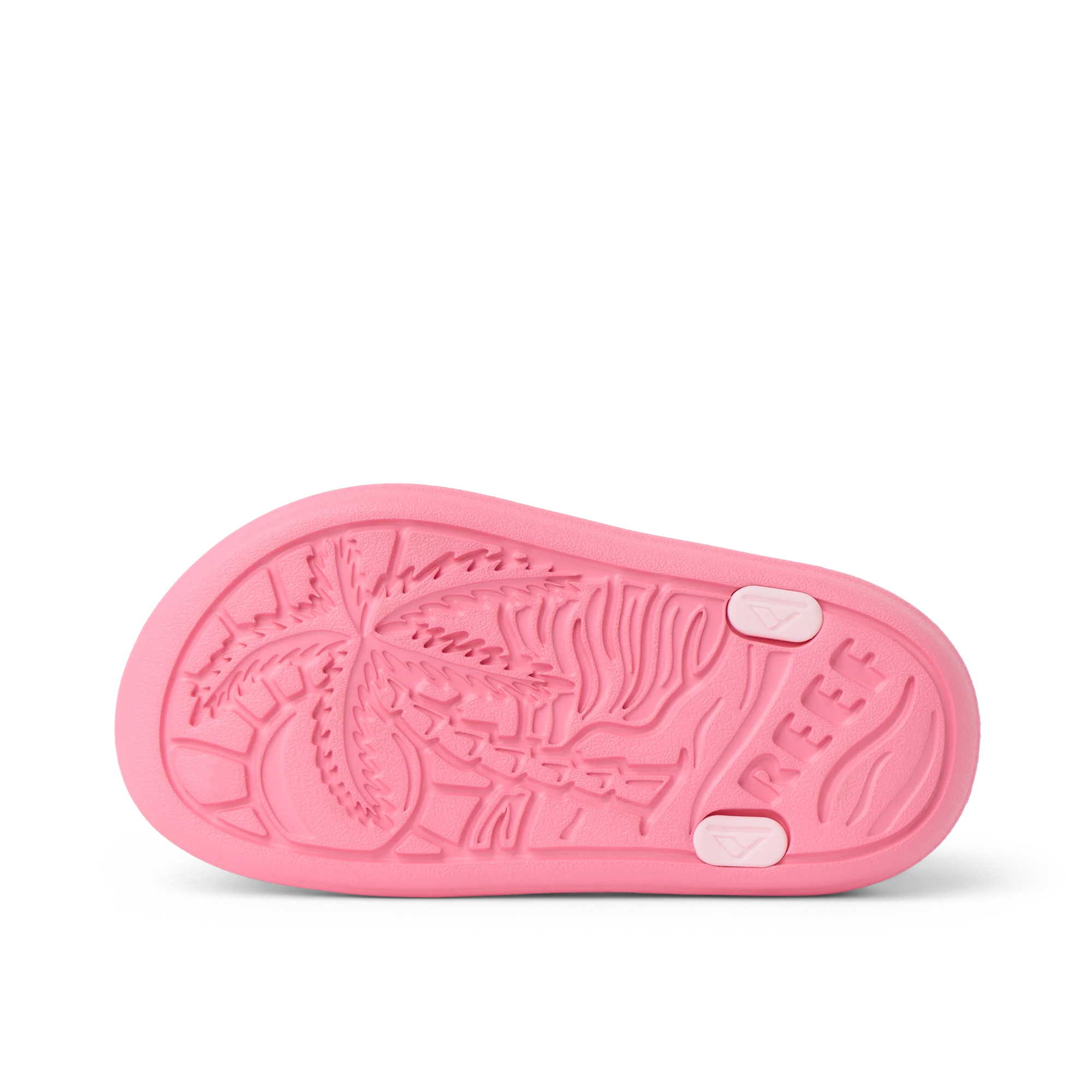 תמונת מוצר 5